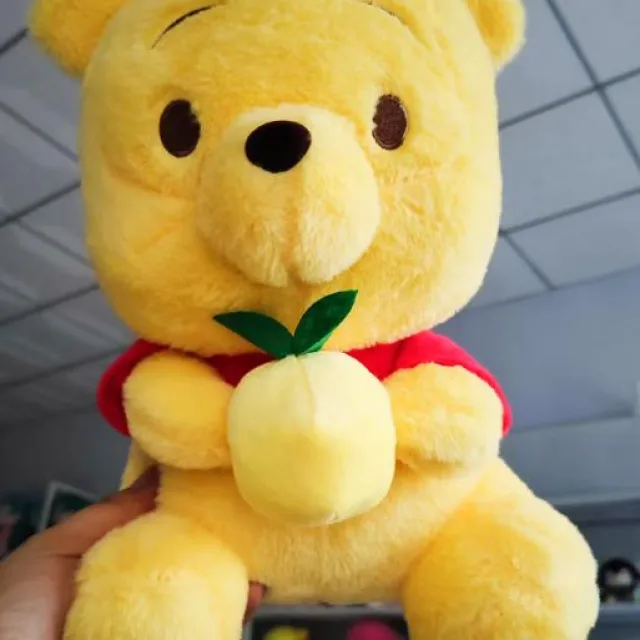 [JL] Winnie the Pooh con pomelo · Peluche · 33 cm