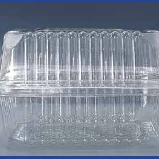 FULL PLAST 透明长方形食品盒 450 cc / A